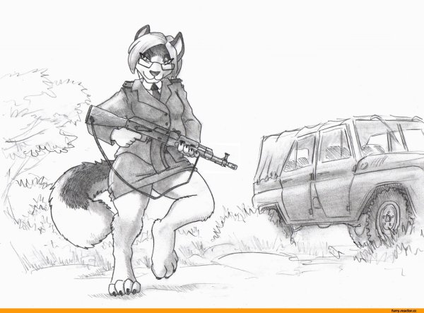 Фурри волки военные