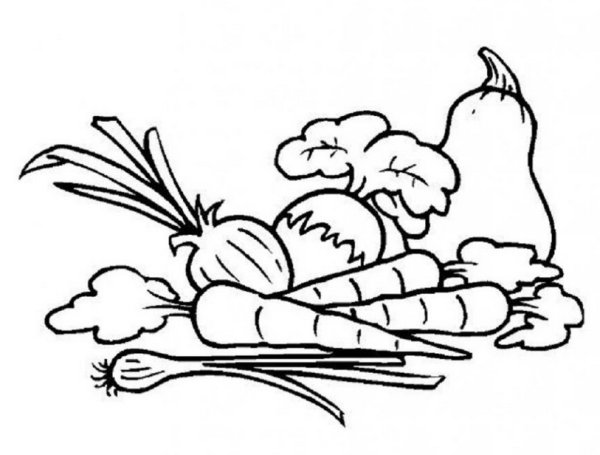 Раскраска суп