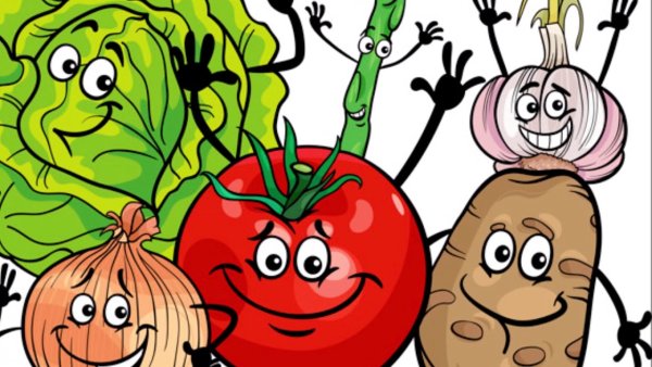 Роллы рисунок