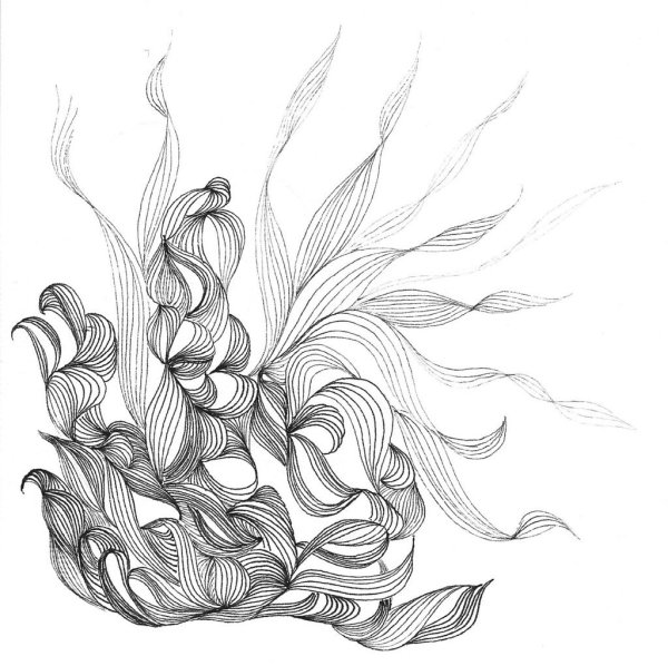 Водоросли Графика