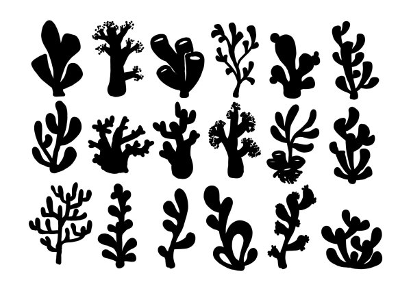 Водоросли контур для раскрашивания