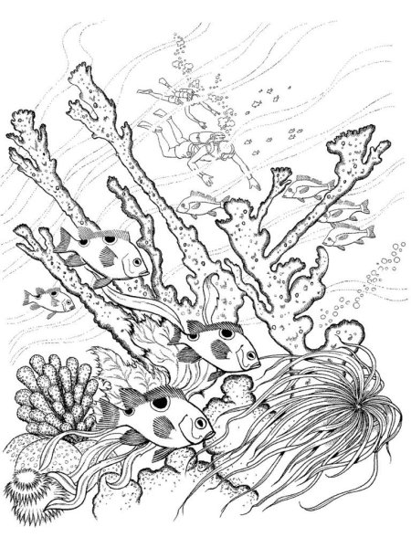 Раскраска морские водоросли