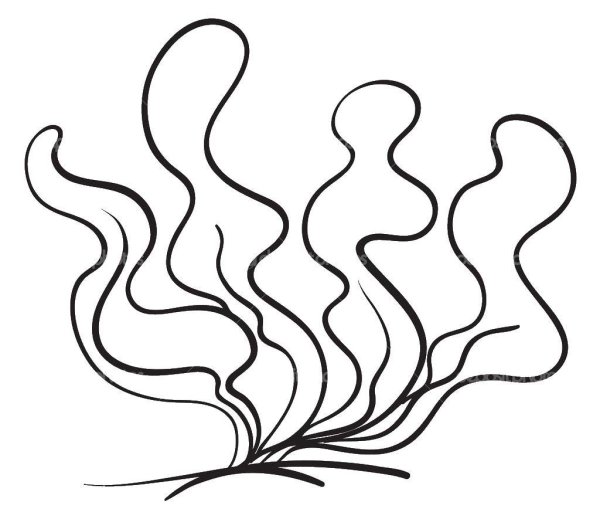 Рыбки Графика