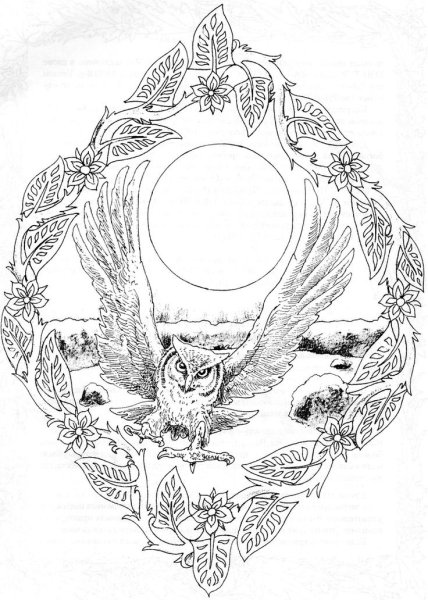 Александр Тюрин энергоинформационные рисунки