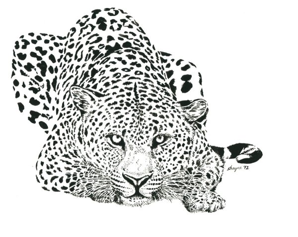 Черно белое изображение