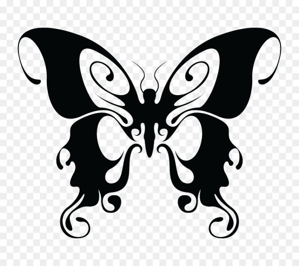 Бабочка растр