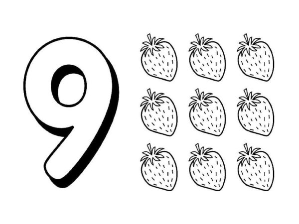 Раскраска цифры