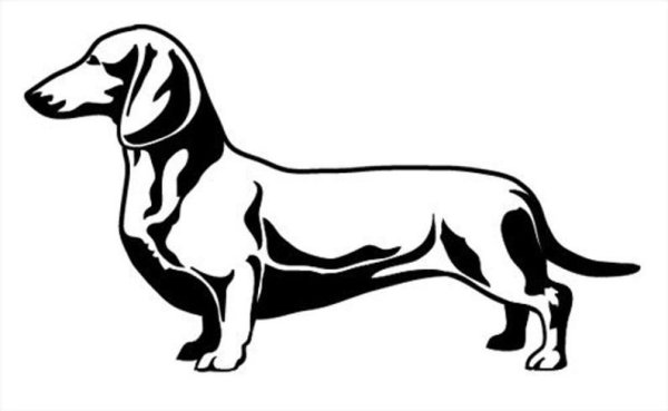 Такса рисунок контур