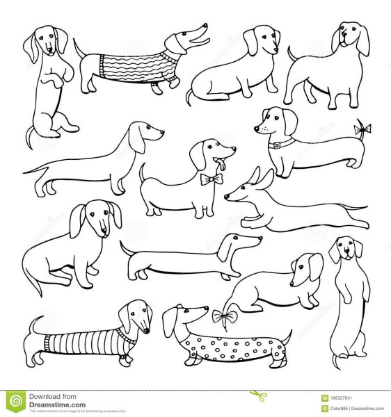 Раскраска собака такса