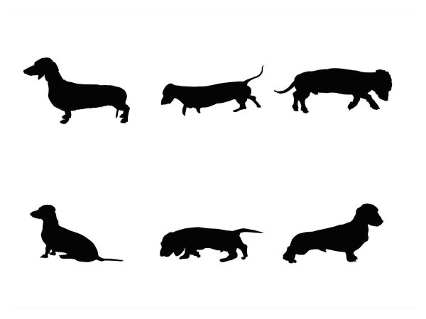 Такса рисунок спереди