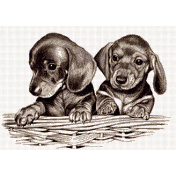 Щенок рисунок