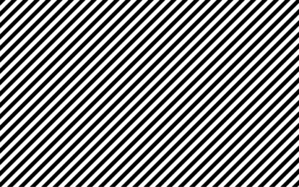 Принт Зебра