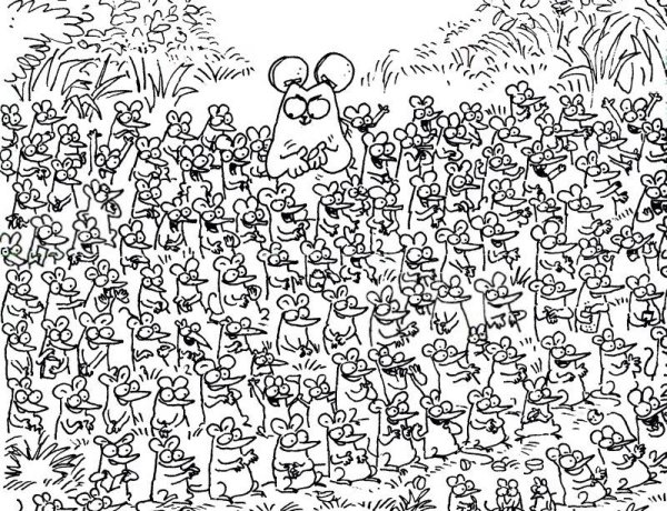 Раскраска много котиков