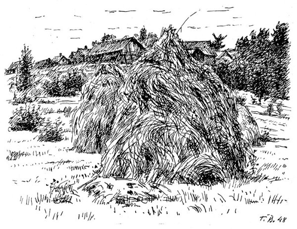 Сено раскраска