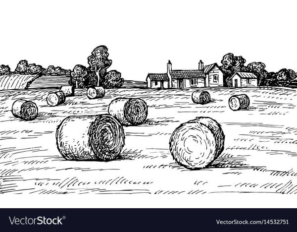 Раскраска сенокос для детей