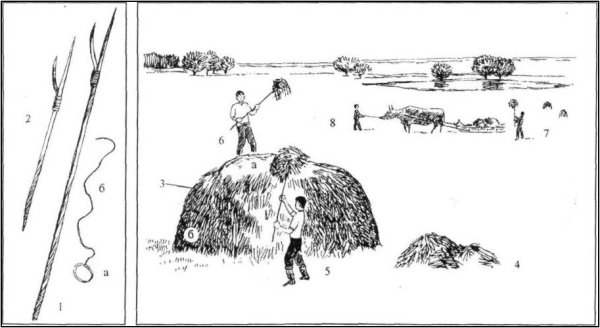 Раскраска сенокос для детей