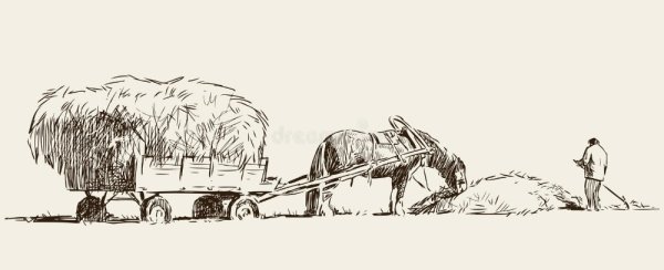 Сено Графика