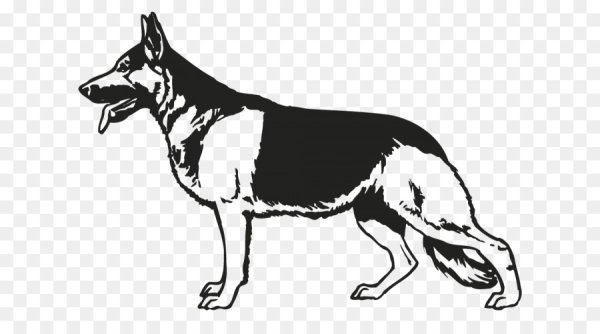 Восточно европейская овчарка вектор чб