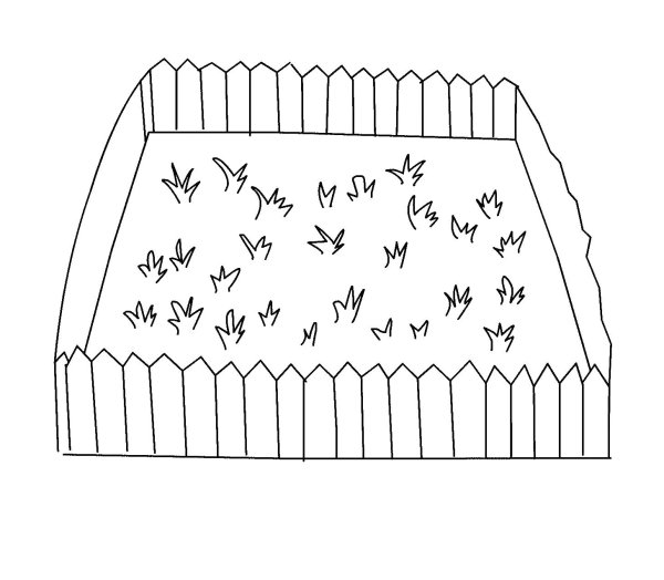 Грядка черно белое