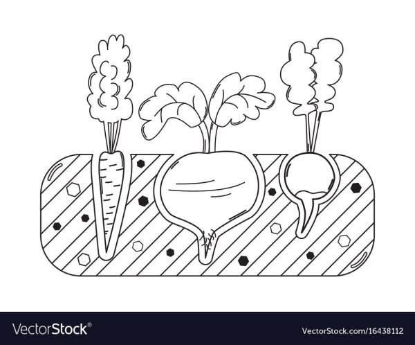 Раскраска. В огороде