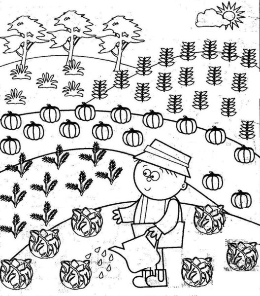 Грядка раскраска для детей