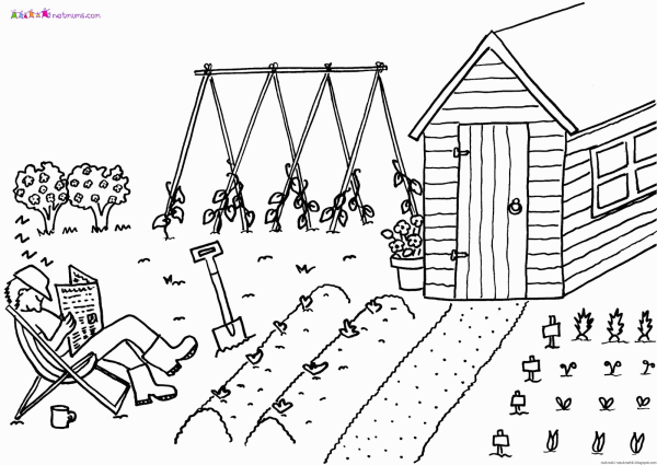 Раскраска. В огороде