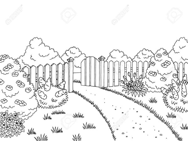 Раскраска. В огороде