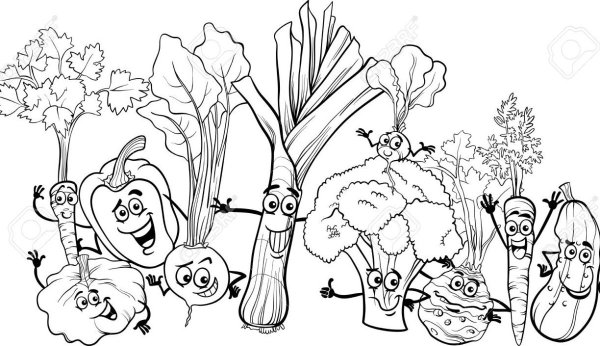 Схематичное изображение сад