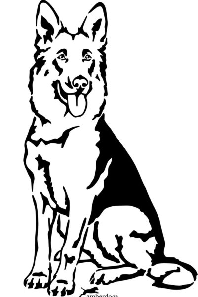 Американский стаффордширский терьер вектор