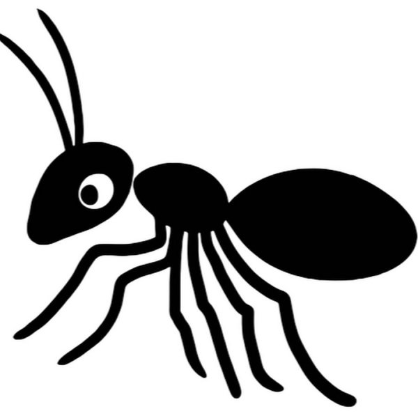 Муравей черно белый