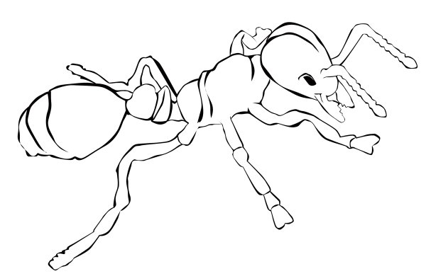 Силуэты насекомых для детей