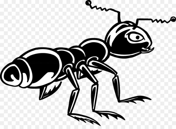 Муравей Графика