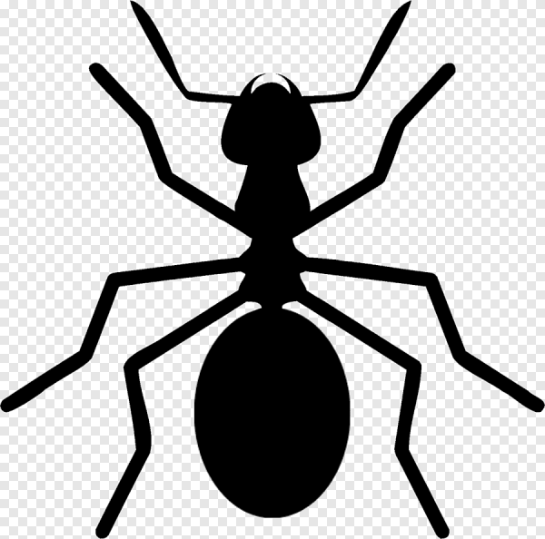 Муравей рисунок для детей простой