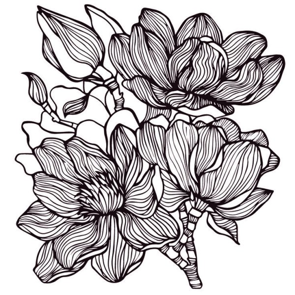 Цветы из линий