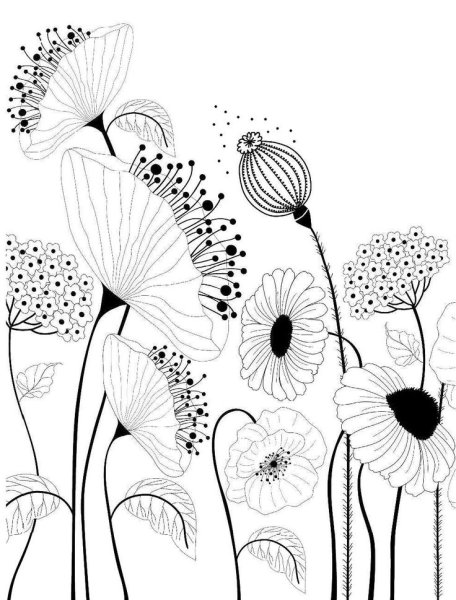 Цветы Графика