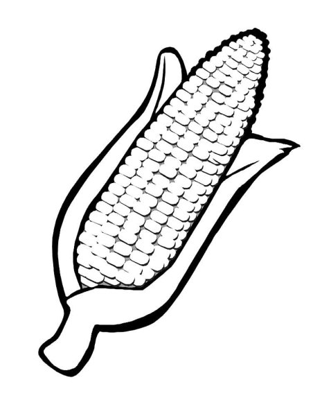 Кукуруза раскраска для детей