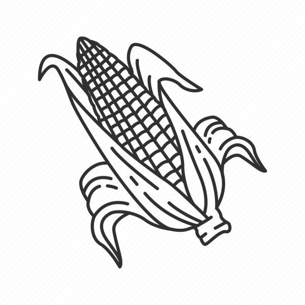 Кукуруза черно белая прозрачный фон