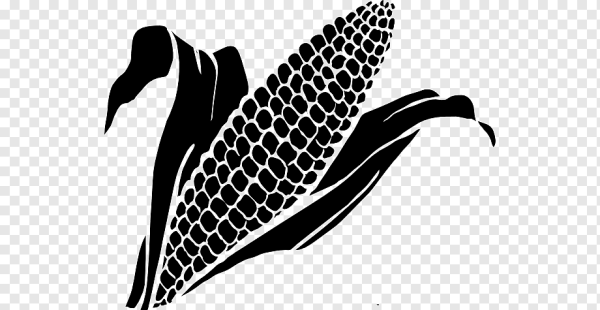 Кукуруза скетч