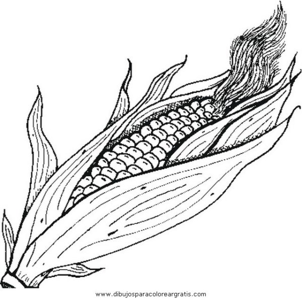 Кукуруза раскраска