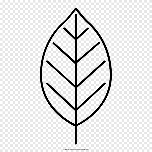 Листик черно белый