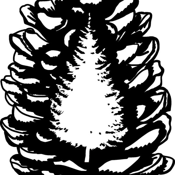 Шишка трафарет