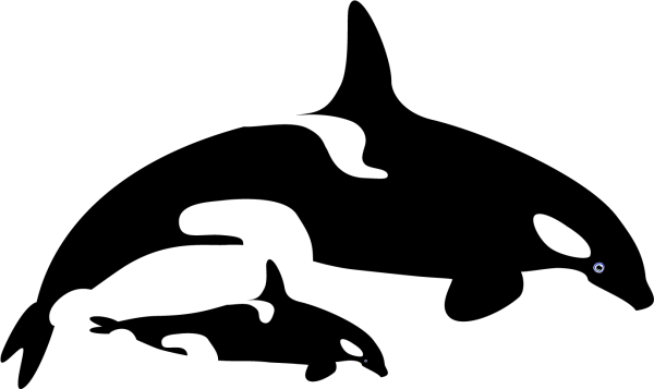 Касатка силуэт
