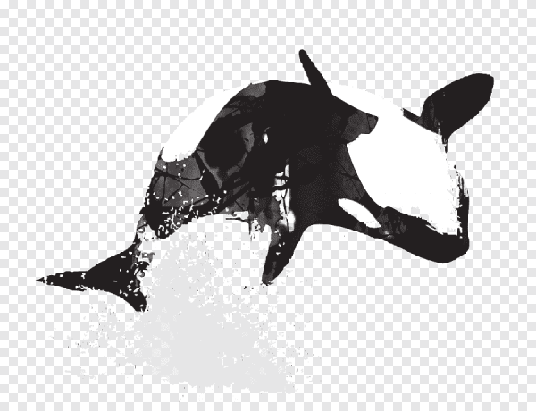 Касатка арт