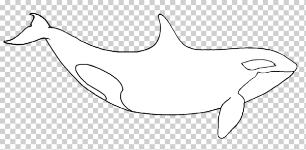 Касатка раскраска для детей