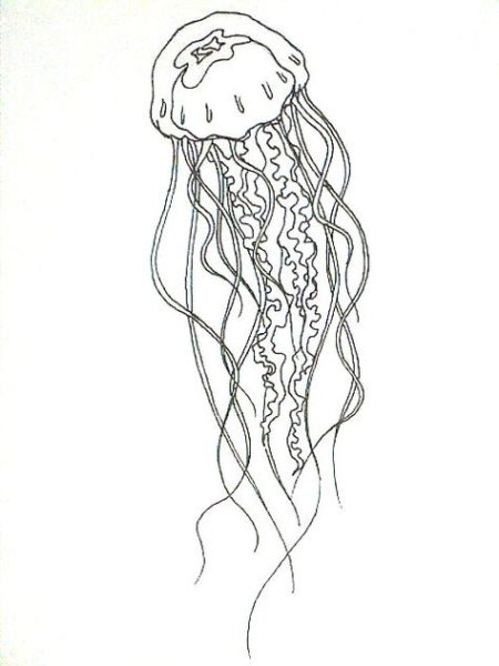 Медуза эскиз