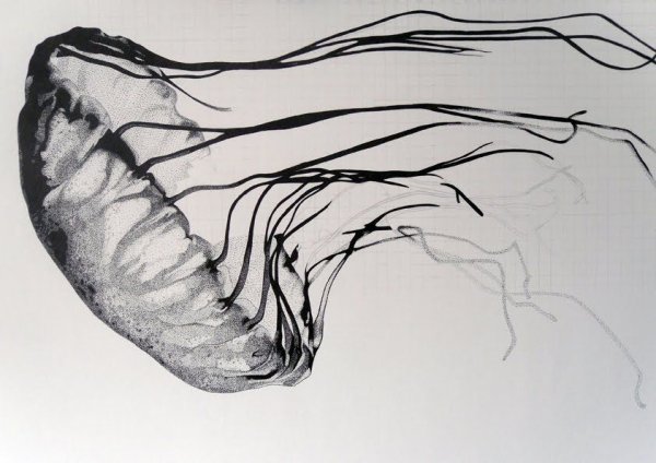 Белая медуза на черном фоне