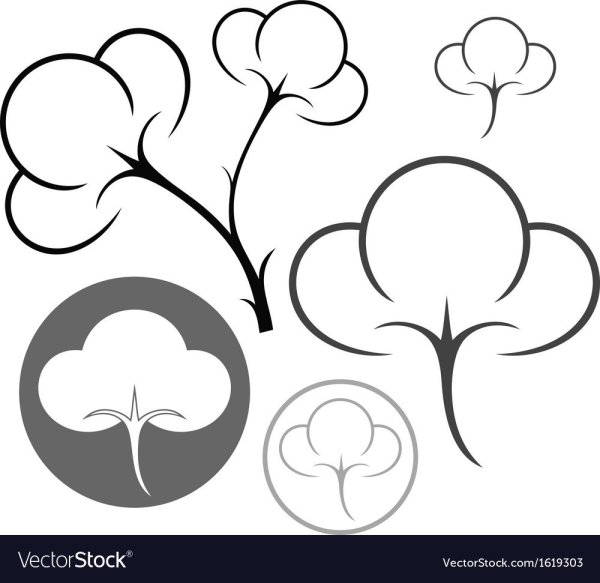 Хлопок цветок