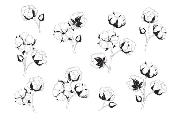 Стилизованный цветок хлопка