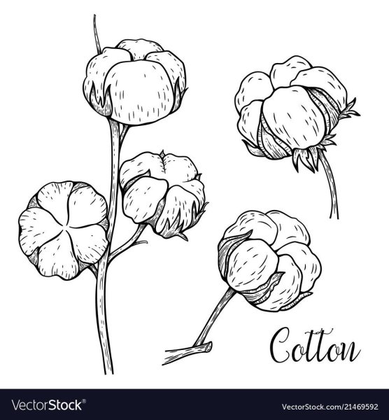 Хлопок для раскрашивания