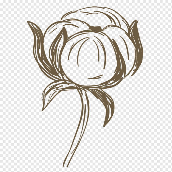 Хлопок контур